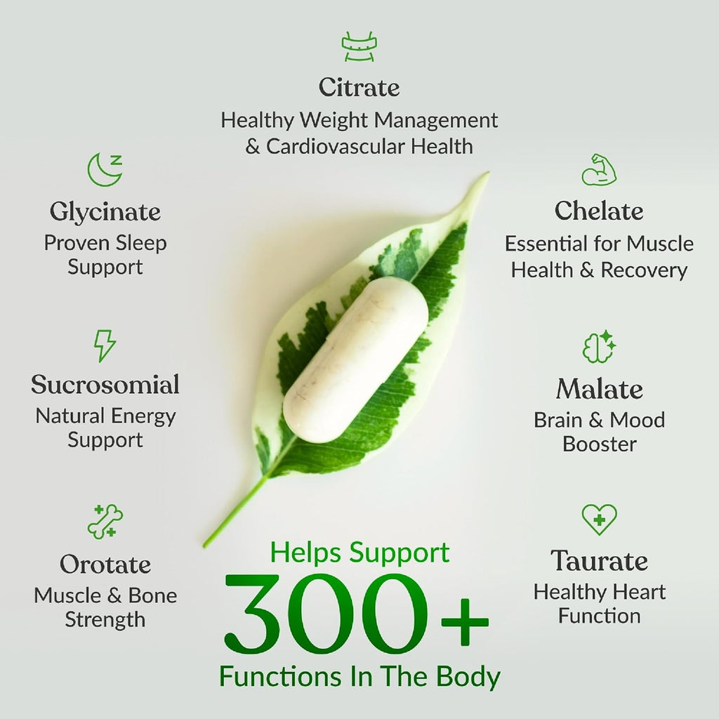 BIOptimizers Magnesium Breakthrough – 7 Forms of Magnesium Supplement for Sleep & Cognitive Support