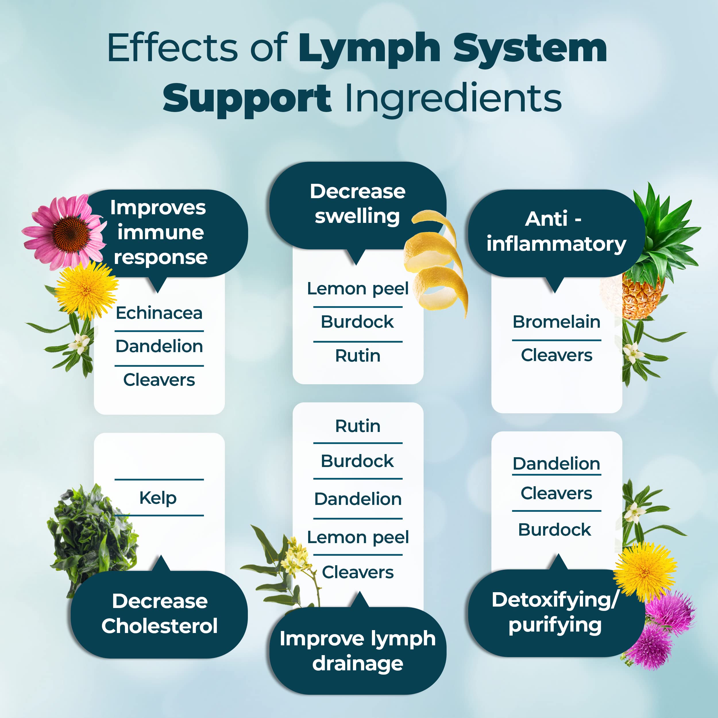 PUREHEALTH RESEARCH Lymph System Support Supplement